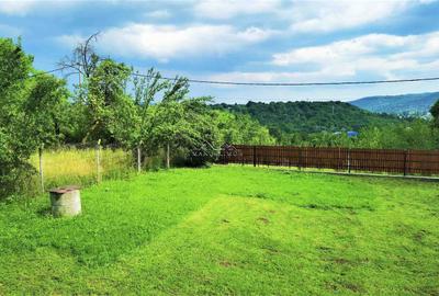 Manuel recomanda : Vila superba in Cornu de Jos 295mp , teren 1360mp - 13