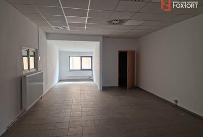 Spatiu comercial cu 16 incaperi - zona Mehala - 22