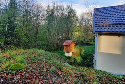 Cabana 4 camere zona Valea Avrigului - 18