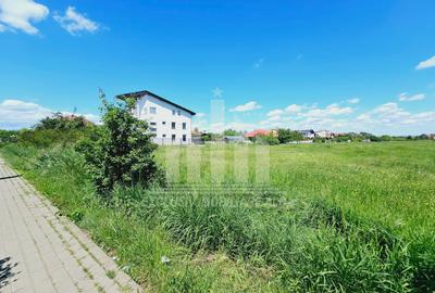 Teren Construcții intravilan de 2600 mp, în Cetate