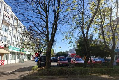 Garsonieră decomandată, mobilată în Găvana 2