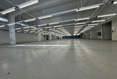Hala productie P+1 si apartament de serviciu Navodari - c-tie beton - 4