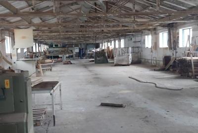 Spatii industriale 1.5Eur/mp - 2