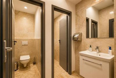 Office Premium de Inchiriat | 265 mp | La Suite Copou - 13