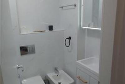 Apartament 2 camere de inchiriat in zona Herastrau - 7