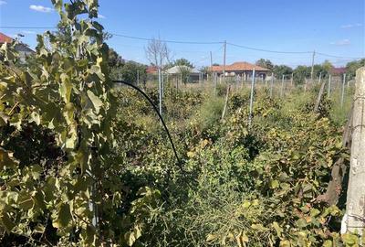 Casa de vanzare in sat Hangulesti cu suprafata de 133 mp , suprafata teren 2000 - 18