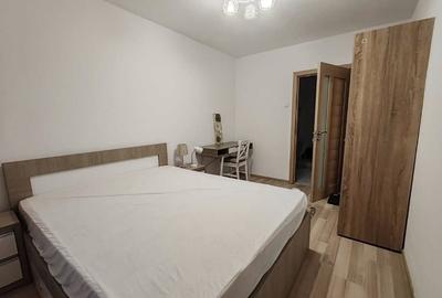 Ap2 cam Podu Ros, renovat, mobilat si utilat! - 5