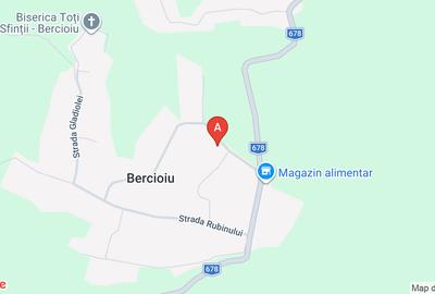 Teren Construcții intravilan de 3500 mp, în Bercioiu