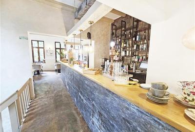 Restaurant complet utilat - Gradina Icoanei - Afacere la cheie - 5