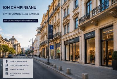 SPAȚIU COMERCIAL PREMIUM – BULEVARDUL ION CÂMPINEANU | INVESTIȚIE CU CHIRIAȘ - 1