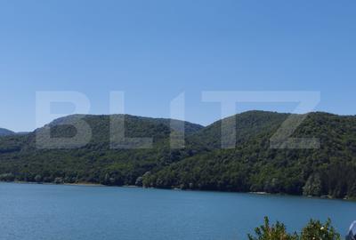 Teren extravilan de 20720 mp, în Hunedoara