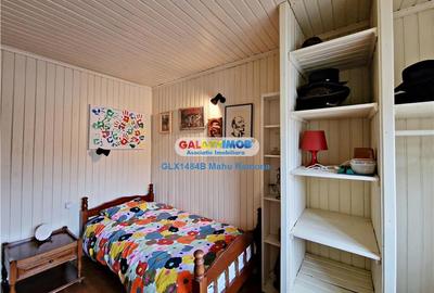 Casa veche renovata, parter+mansarda, curte proprie, Foisorul de Foc - 25