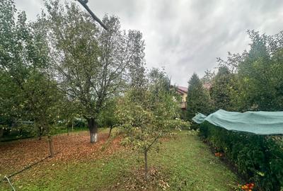 Sighișoara - Pensiune pe un domeniu de 8000 mp - 10
