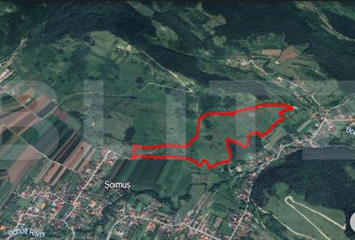 Teren agricol extravilan de 122400 mp, în Șoimuș