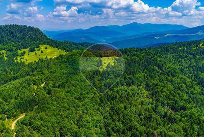 Refugiu în natură la Săcele | Teren 7.000 mp cu râu | Comision 0% - 11