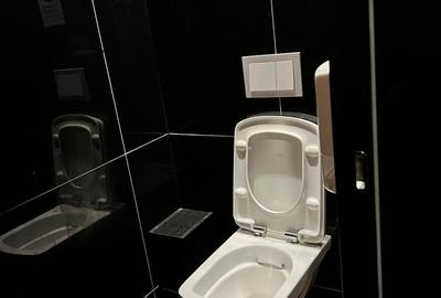 SPATIU COMERCIAL CENTRAL ZONA DACIA la 3.400 euro - 12