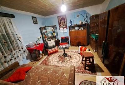 Casa de vanzare in Ciugud -1000 mp teren - 5