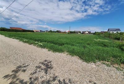Teren intravilan 3177 mp, zona Serbanesti - 3