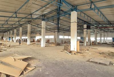 Spațiu Industrial și Logistic - 4