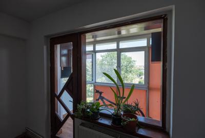 Apartament cu 2 camere semidecomandat în Brazda lui Novac