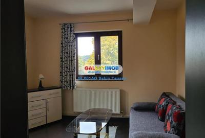 NOU De inchiriat vila moderna str Trivale  ..la cheie - 14