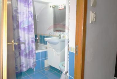 Casa de vanzare P+1+M Drumul Taberei Bucuresti - 22