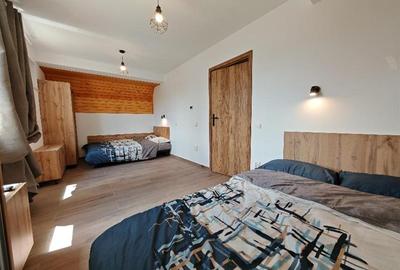 Inchiriem Casa Individuala, 3 Camere, Mobilata, Harman - 20