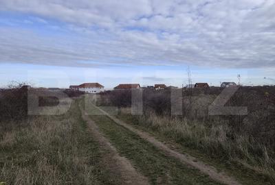 Teren Construcții intravilan de 10925 mp, în Sânmartin
