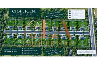 Teren intravilan 11900mp | 18 loturi | Snagov-Ciofliceni - 1