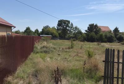 Vand doua loturi teren intravialn, Mosoaia, Hintesti, in suprafata de 800 , 1600 - 2