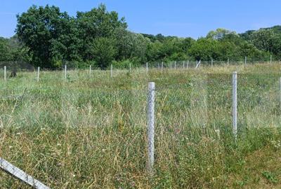 Teren agricol extravilan de 1000 mp, în Nord-Est