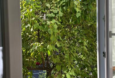 Iulius Mall, apartament spatios - 10