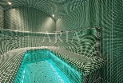SNAGOV VILA | 36m DESCHIDERE LA LAC | PONTON 250mp | JACUZZI | SPA | BOWLING - 18