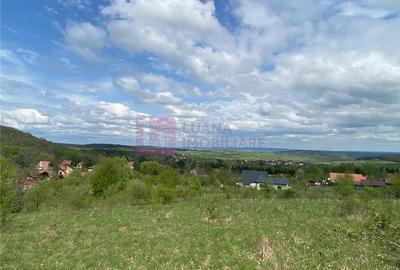 Teren 1050 mp in Tocile | intravilan | utilitati - 4