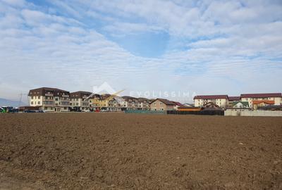 Oportunitate INVESTITIE Teren 40.100 mp Sanpetru - 1