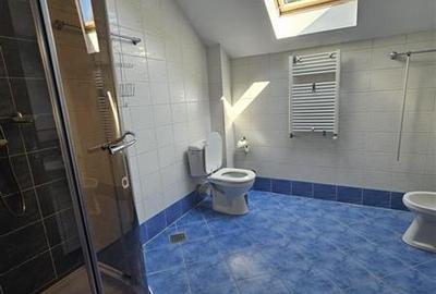 IANCU NICOLAE, S+P+1, 6 CAMERE, 410 MP, PISCINA, CURTE SUPERBA! - 21