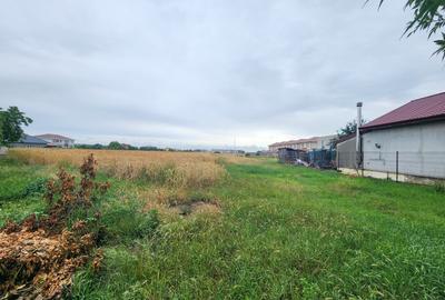 Teren agricol extravilan de 4200 mp, în Giroc