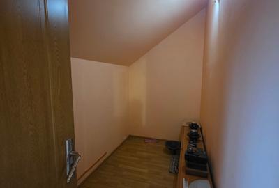 Vand casa singur in curte cu garaj, pod si foisor Sanpetru-Bod - 23