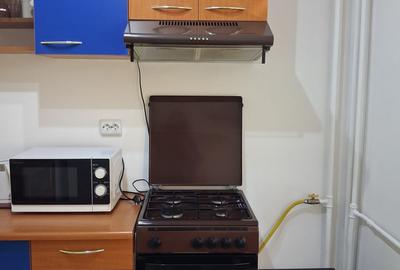 Piata Muncii-Alba iulia  Garsoniera 40 mp,mobilata modern,utilata,bloc mixt 350€ - 17