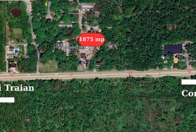 Hala 450 mp in mijlocul padurii Valu lui Traian cu teren 1875 mp - 1