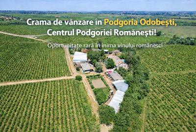 Spațiu comercial, de 1,500 mp, în Vârteșcoiu