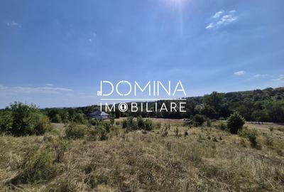 Vânzare teren 13.000 mp - Runcu-Suseni - oportunitate turistică - 6