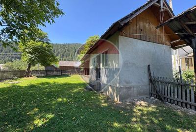 De vanzare | Teren 5412mp , Scoala Sabasa | Borca | Neamt - 9
