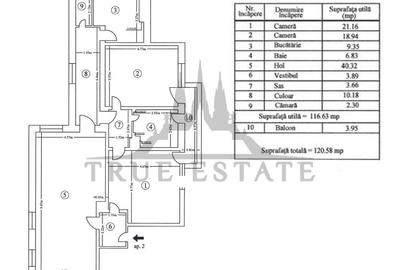 Apartament superb, in vila interbelica renovata, in zona Plantelor - 16