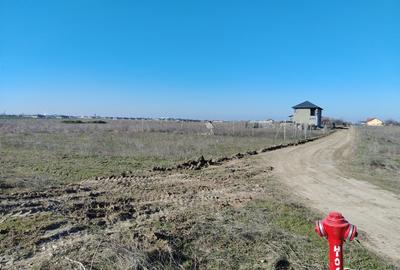 Teren Construcții extravilan de 988 mp, în Cârcea