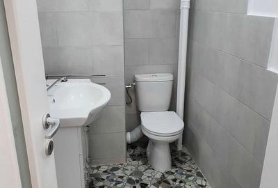 Inchiriere apartament 3 camere | Bulevardul Carol I-Mosilor-Armeneasca | Boxa - 13