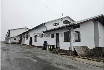 Proprietate industrială  Platformă logistică de vânzare în Tinca - 2