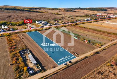 Teren Industrial | Hală • Service • Parcare TIR | 4.227 mp - 1