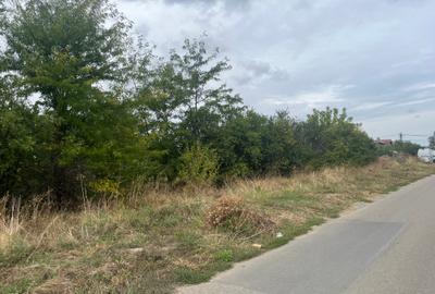 Teren 1000m Jilava  Str.Garii,Asfaltat ,Utilitati - 6