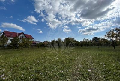 TEREN INTRAVILAN //BREAZA - 9
